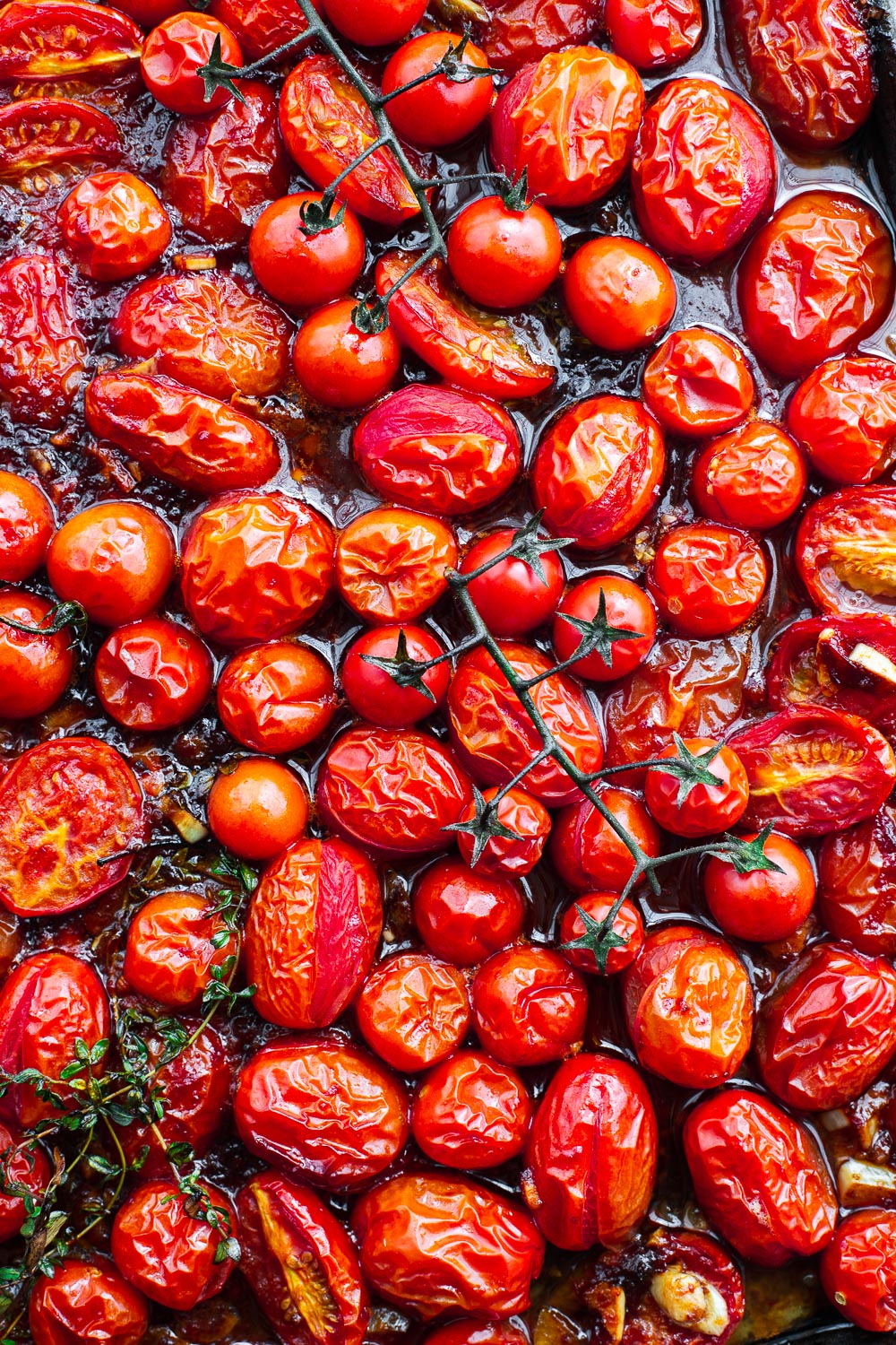 Oven-roasted harissa tomatoes in a tray viewed from above