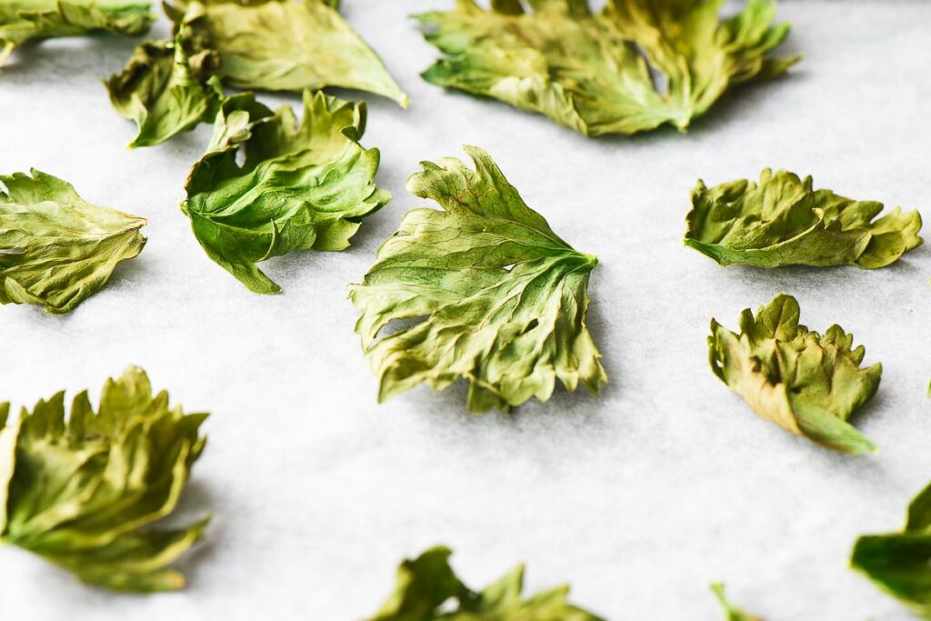 Close-up shot of dehydrated celery leaves on parchment paper.