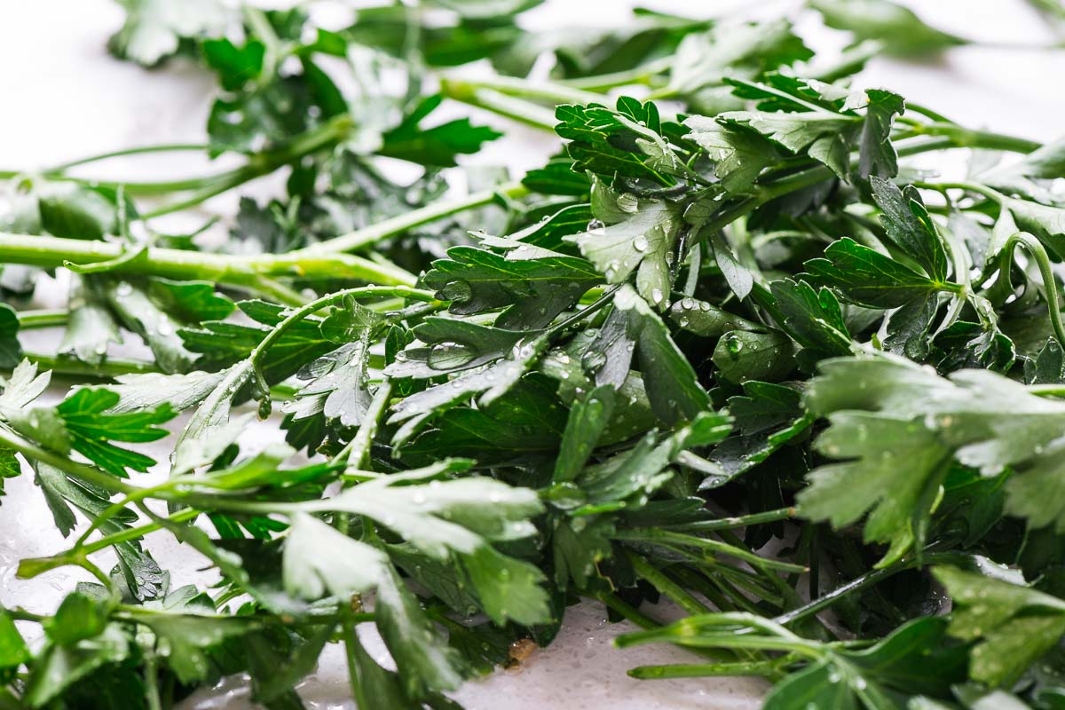 A macro close-up shot of wet parsley with drops of water.