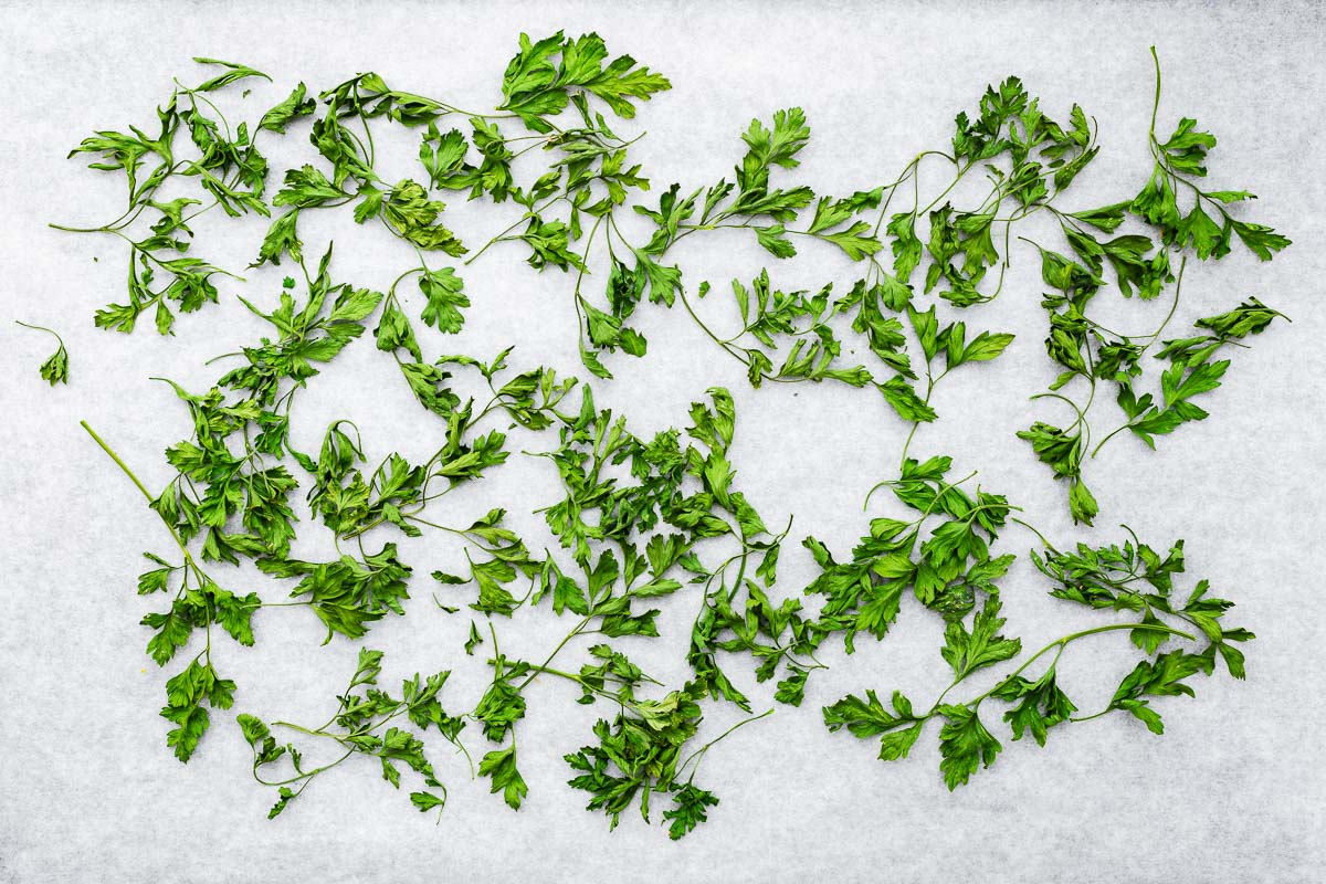 Oven dried parsley leaves and stems on parchment paper viewed from above.