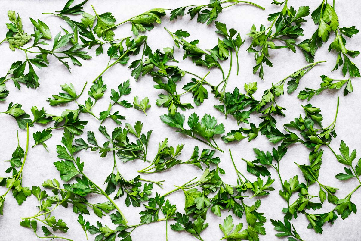 Fresh parsley leaves and stems on parchment paper viewed from above.