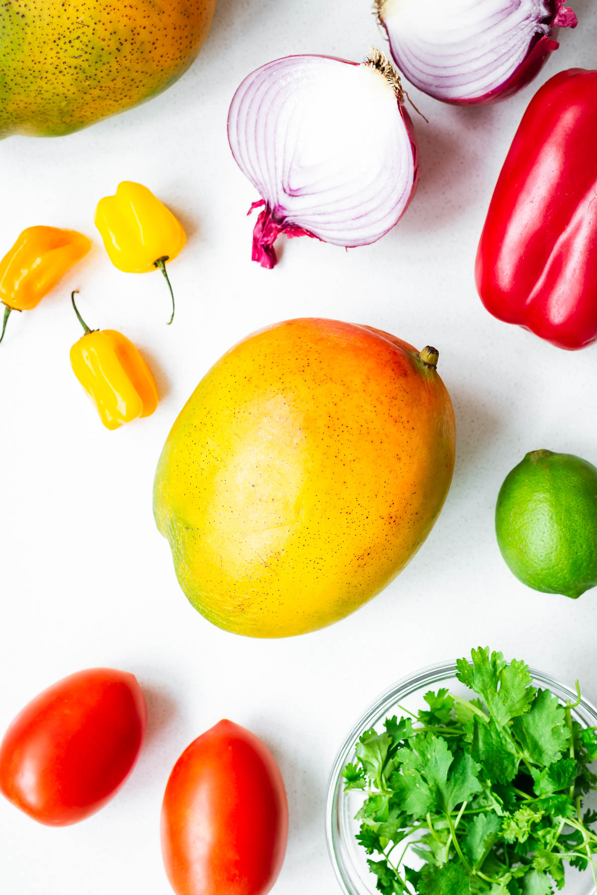 All the ingredients needed for mango habanero salsa (raw or roasted salsa). Ingredients include mango, tomatoes, lime, red bell pepper, red onion, habanero peppers and fresh cilantro leaves.